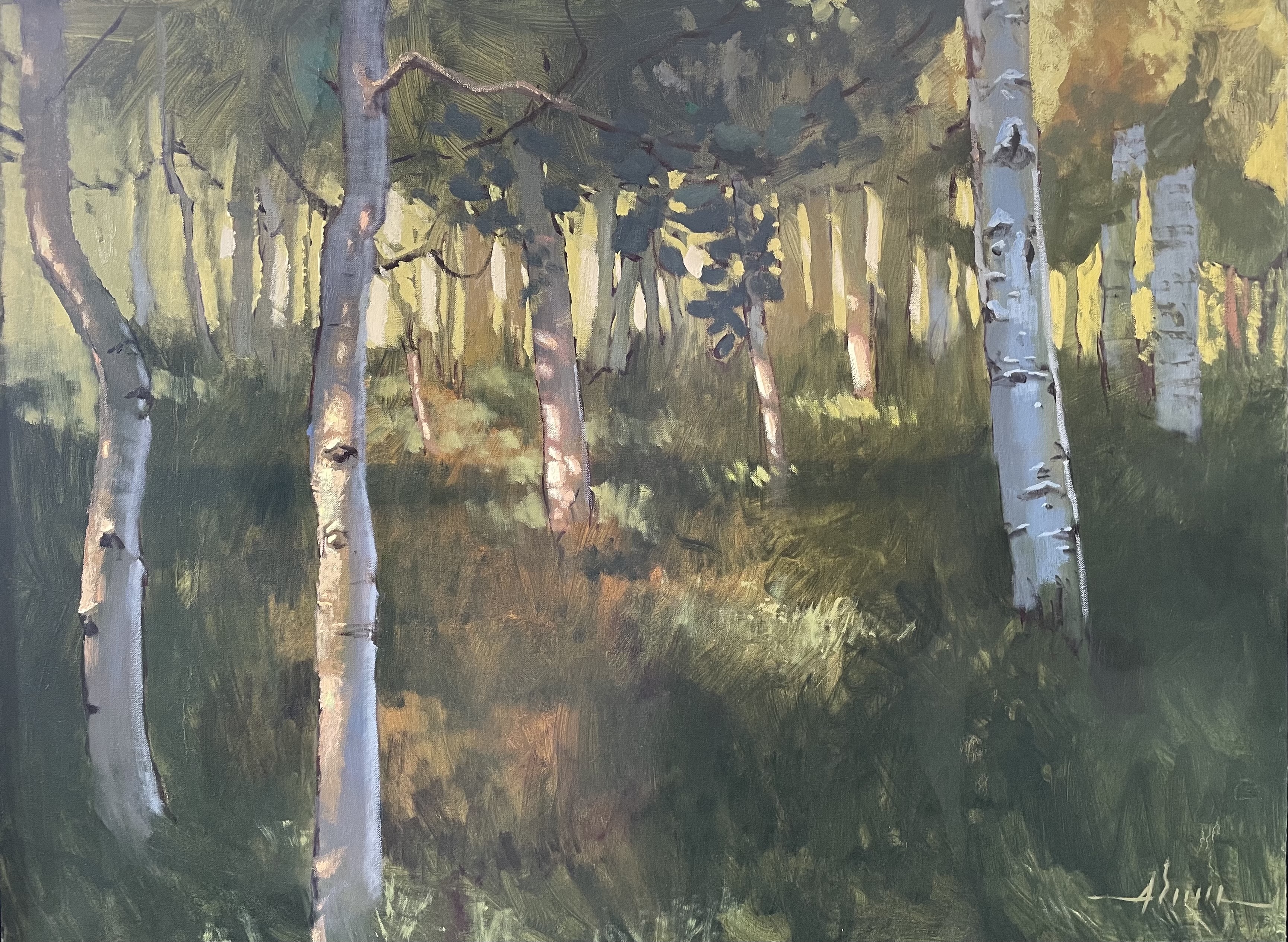 painting of birche trees dapples with sunlight