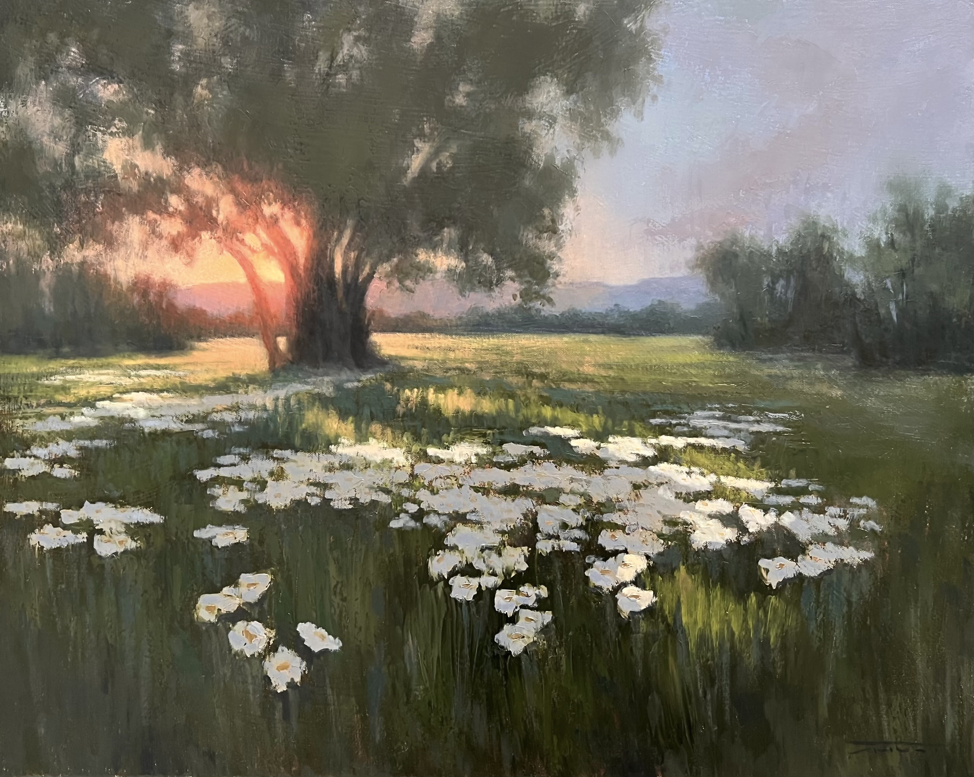 image of summer blooms painting - a tree with evening sunset behind it and white flowers in the foreground
