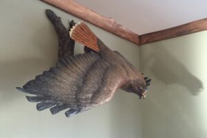 Everything is Waiting