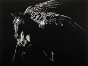 scratchboard painting by Julie Chapman of a pegasus
