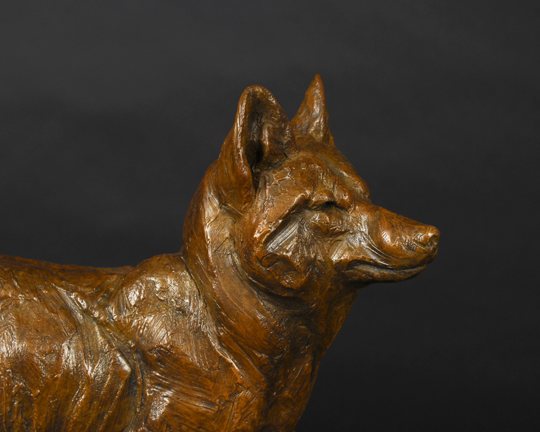 bronze sculpture of a coyote by Tim Shinabarger