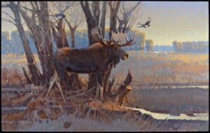 painting by Jim Morgan of a large bull moose standing at the edge of the woods looking across a fieldd. THere is a magpie in the tree and another magpie flying nearby.