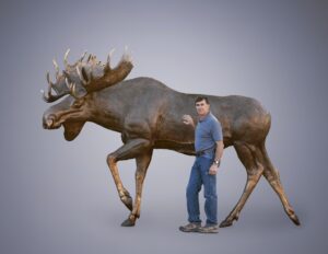 life-sized bronze sculpture of a Moose