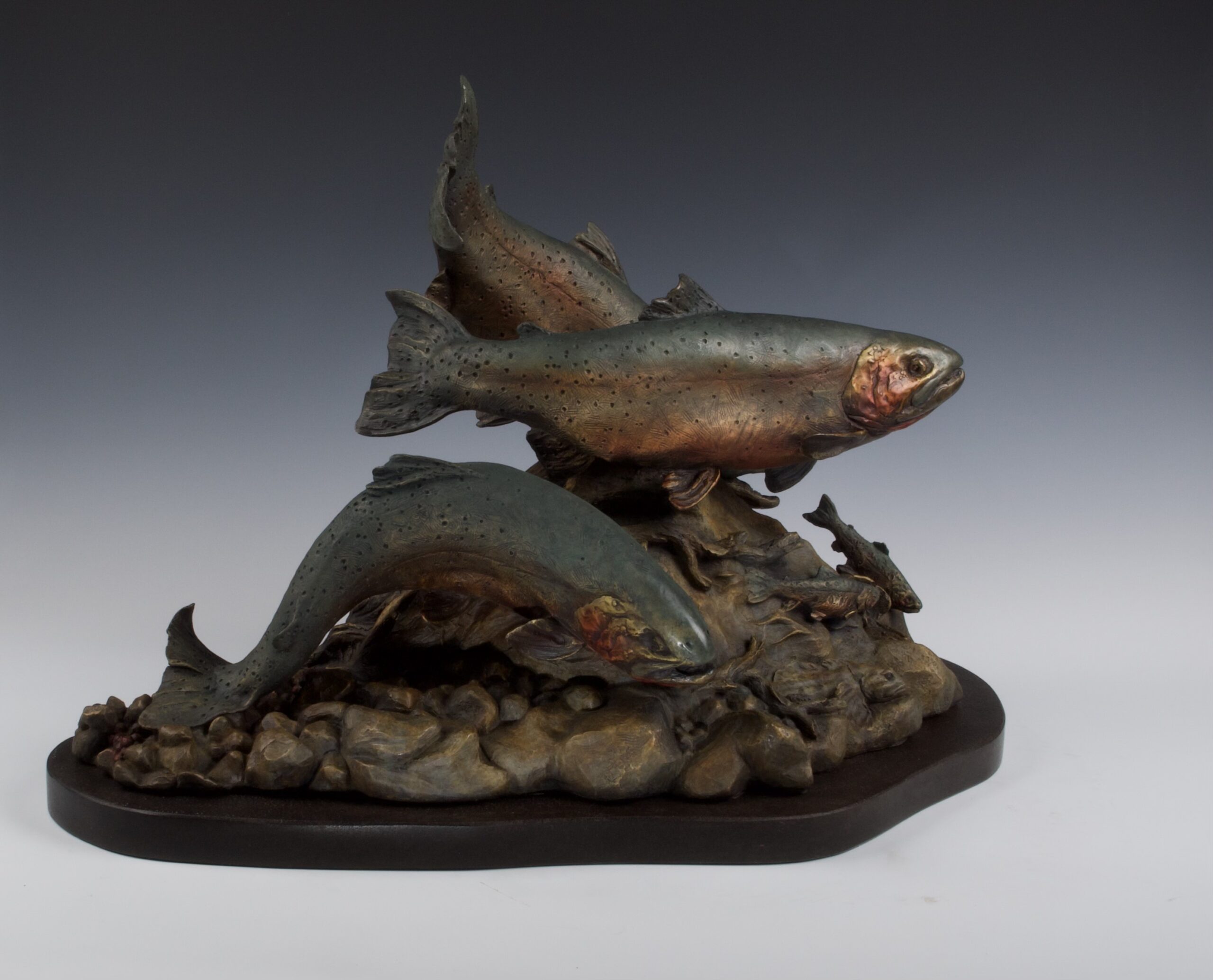 Native San Juan Cutthroat - Image 2