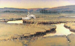 painting by Jim Morgan of two trumpeter swans resting at the edge of a creek