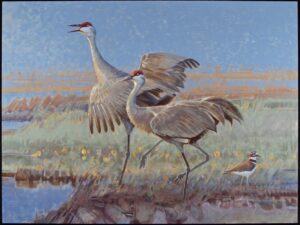 painting by Jim Morgan pf two sndhill cranes near the esge of a stream