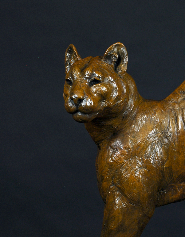 bronze sculpture of a mountain lion by Tim Shinabarger