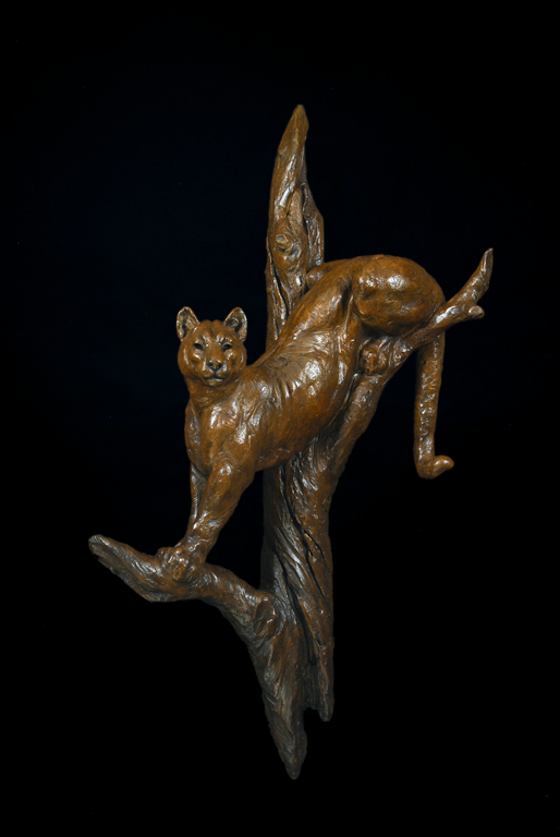 bronze sculpture of a mountain lion by Tim Shinabarger