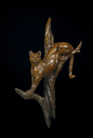 bronze sculpture of a mountain lion by Tim Shinabarger