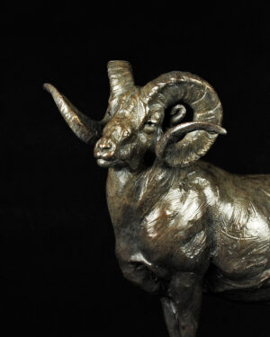 bronze sculpture of a Chadwick ram by Tim Shinabarger