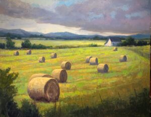 field with several round bales of hay