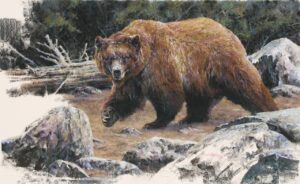 painting of a bear walking on the edge of a lake