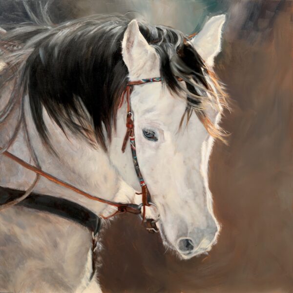 close up of a beautiful horse with a light colored face and a dark mane - wearing a colorful bridle