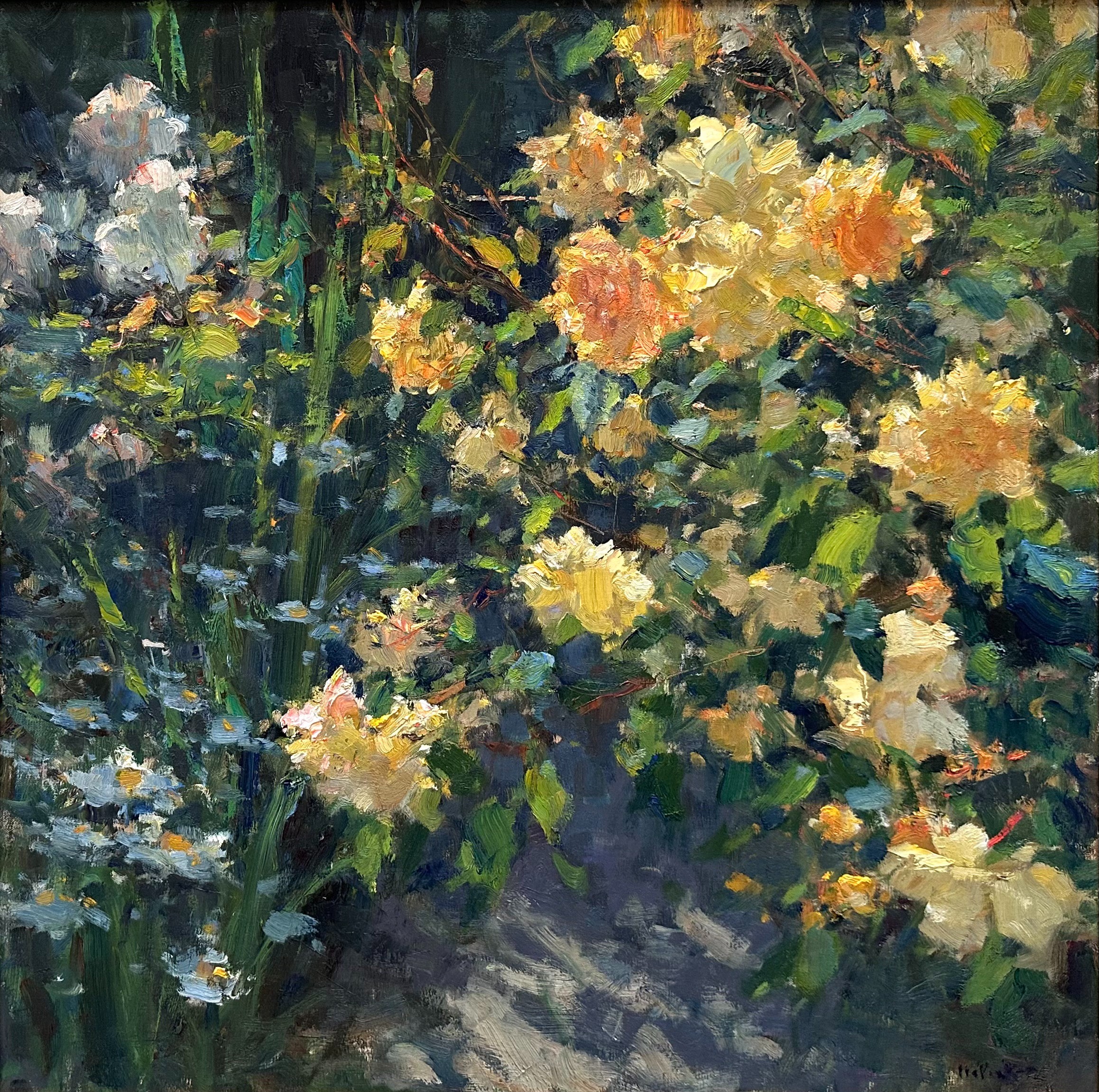 painting of a rosebush with dappled shadows underneath