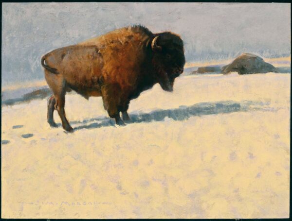 painting of a lone buffalo in a field