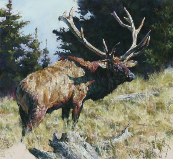 painting of a bugling bull elk