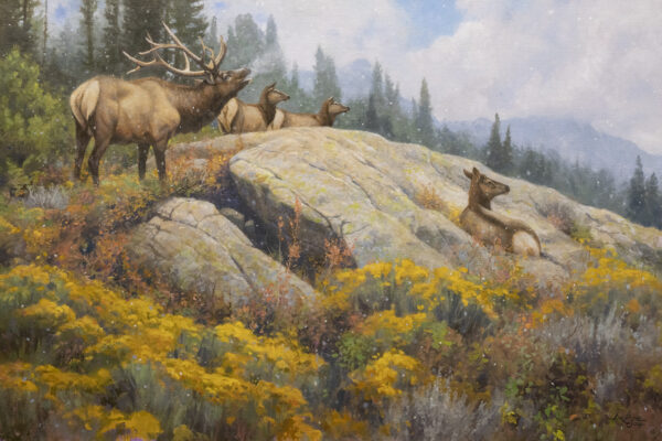 painting of elk grazing and sunning on a mountainside