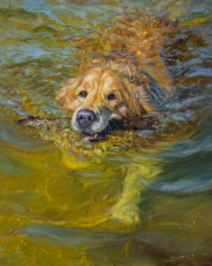 painting of a golden retriever swimming