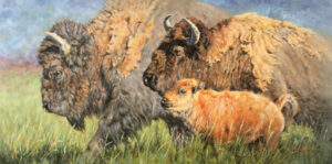 painting of a buffalo family