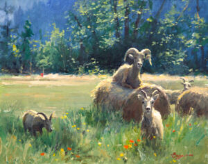painting by Richard Boyer of bighorn sheep in.a meadow