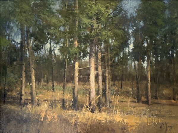 painting by shanna kunz of a stand of tress in a beautiful golden light