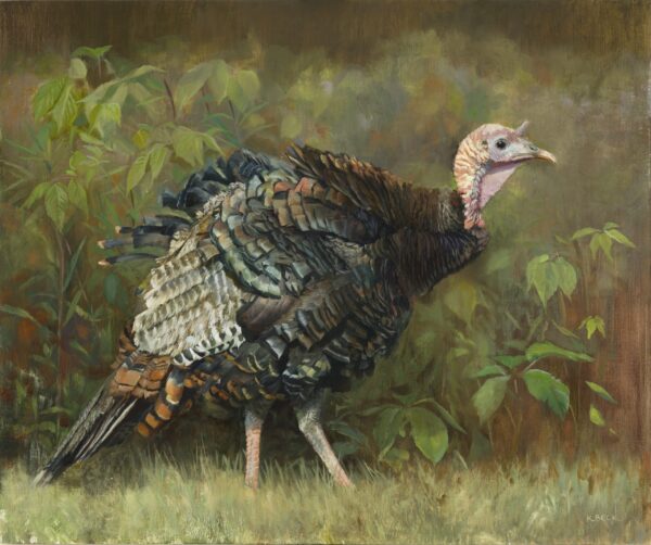image of a painting by kimberly beck depicting a turket