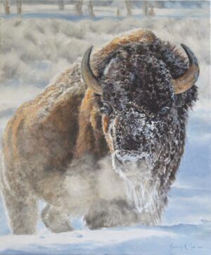 painting of a buffalow running in the snow