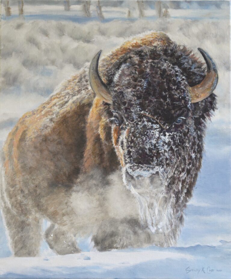 painting of a buffalow running in the snow