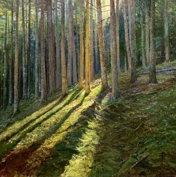 Late Afternoon Sun