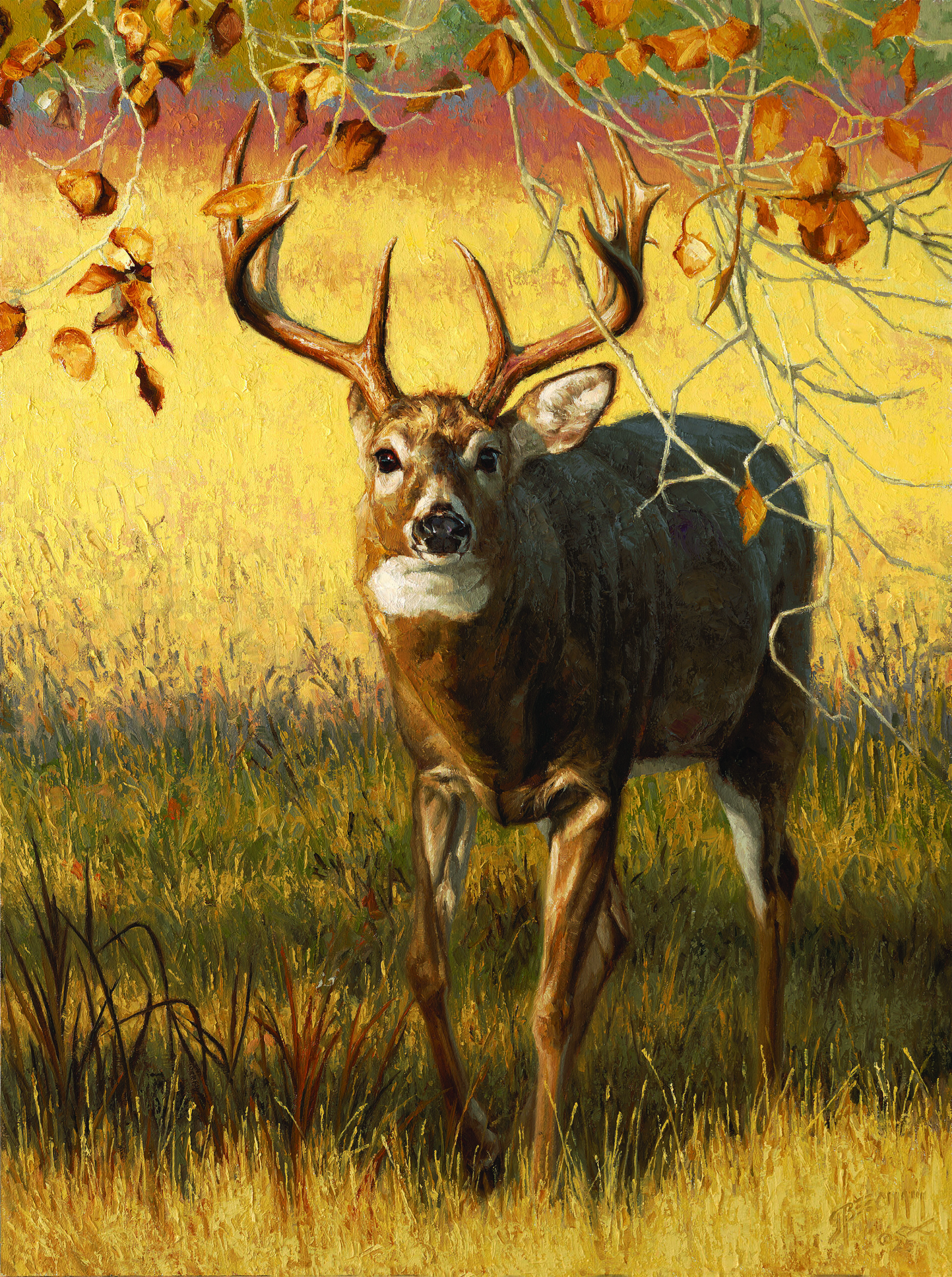 painting by greg beecham of a Whitetail deer