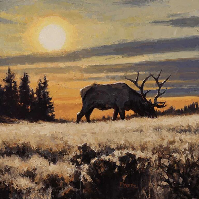 painting by jim bortz of an early morning sunrise sillhoutte of an elk grazing in the frosty grass