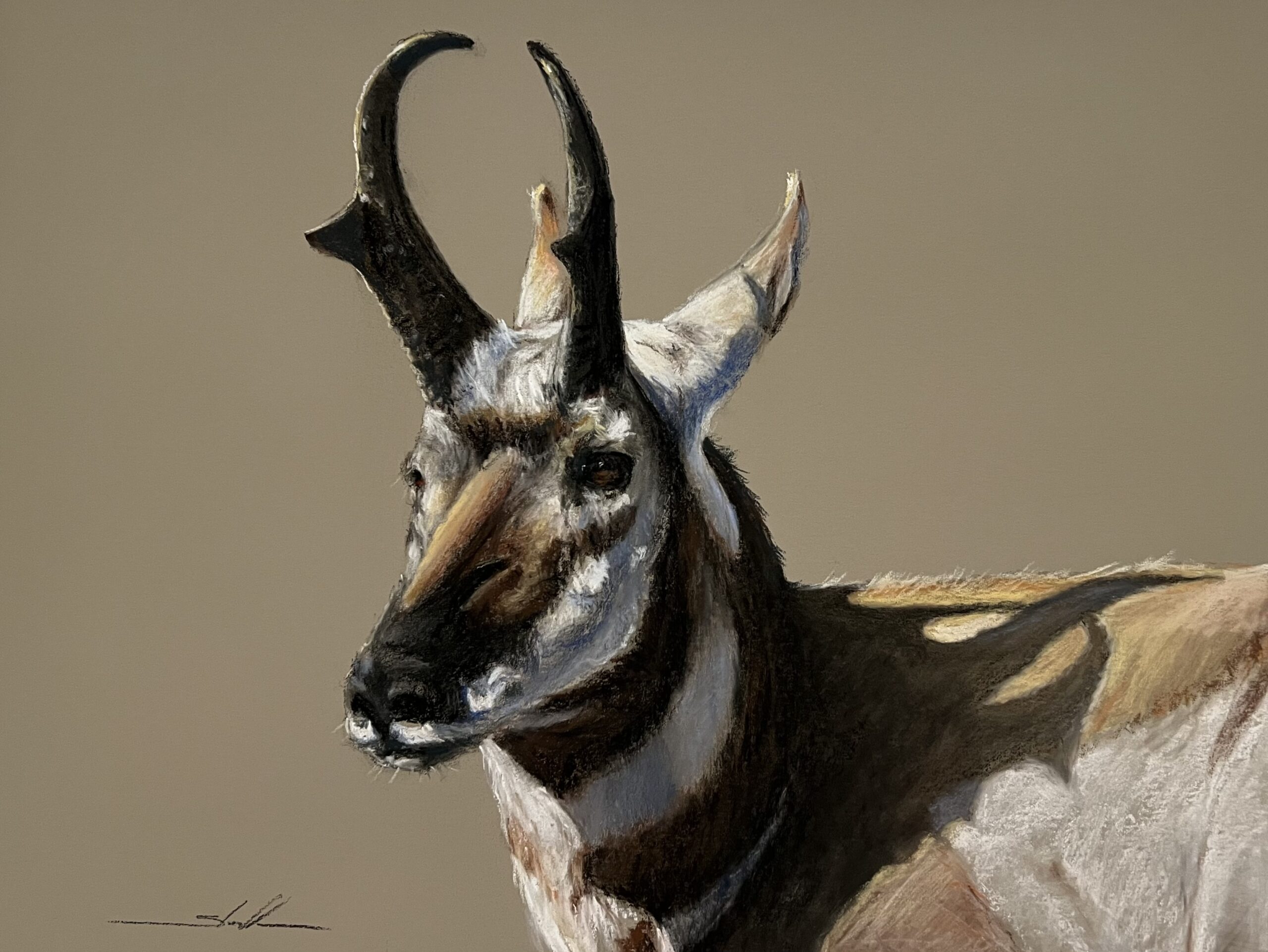 painting by stephen stauffer of an antelope head to shoulder