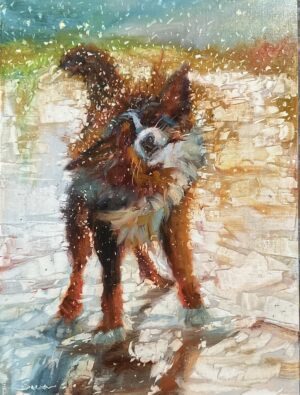 painting by james swanson of a bernese mountain dow shaking off water after a swim, in the sparkling sunshine