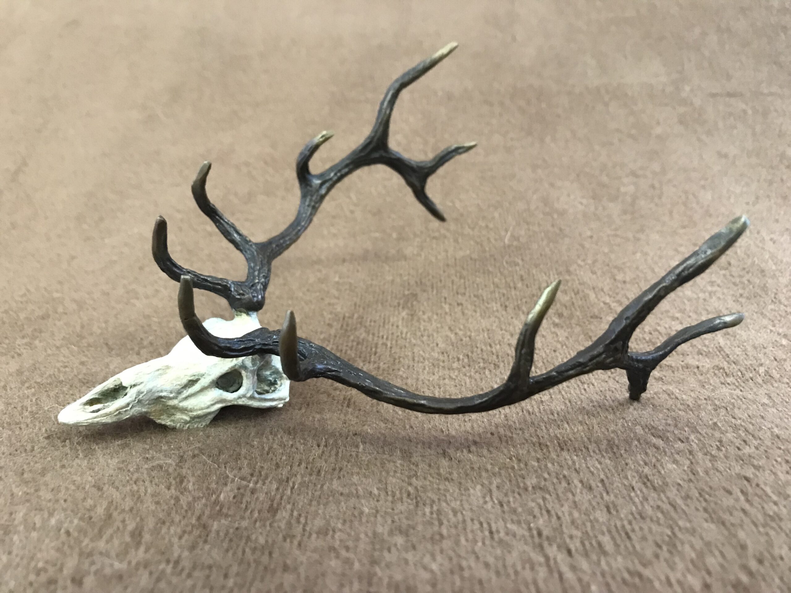 bronze sculpture by Fred Boyer of a small elk skull