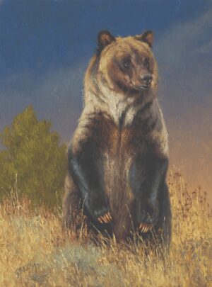 painting by Greg Beecham of a young Grizzly