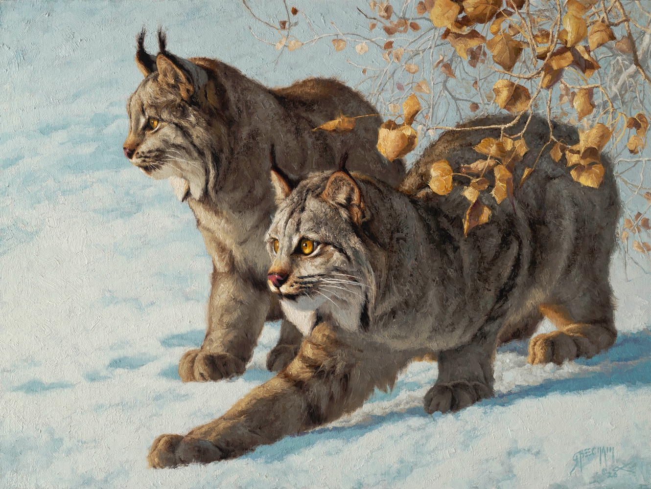 painting by Greg Beecham of two lynx cubs intently looking in the same direction on snow covered ground