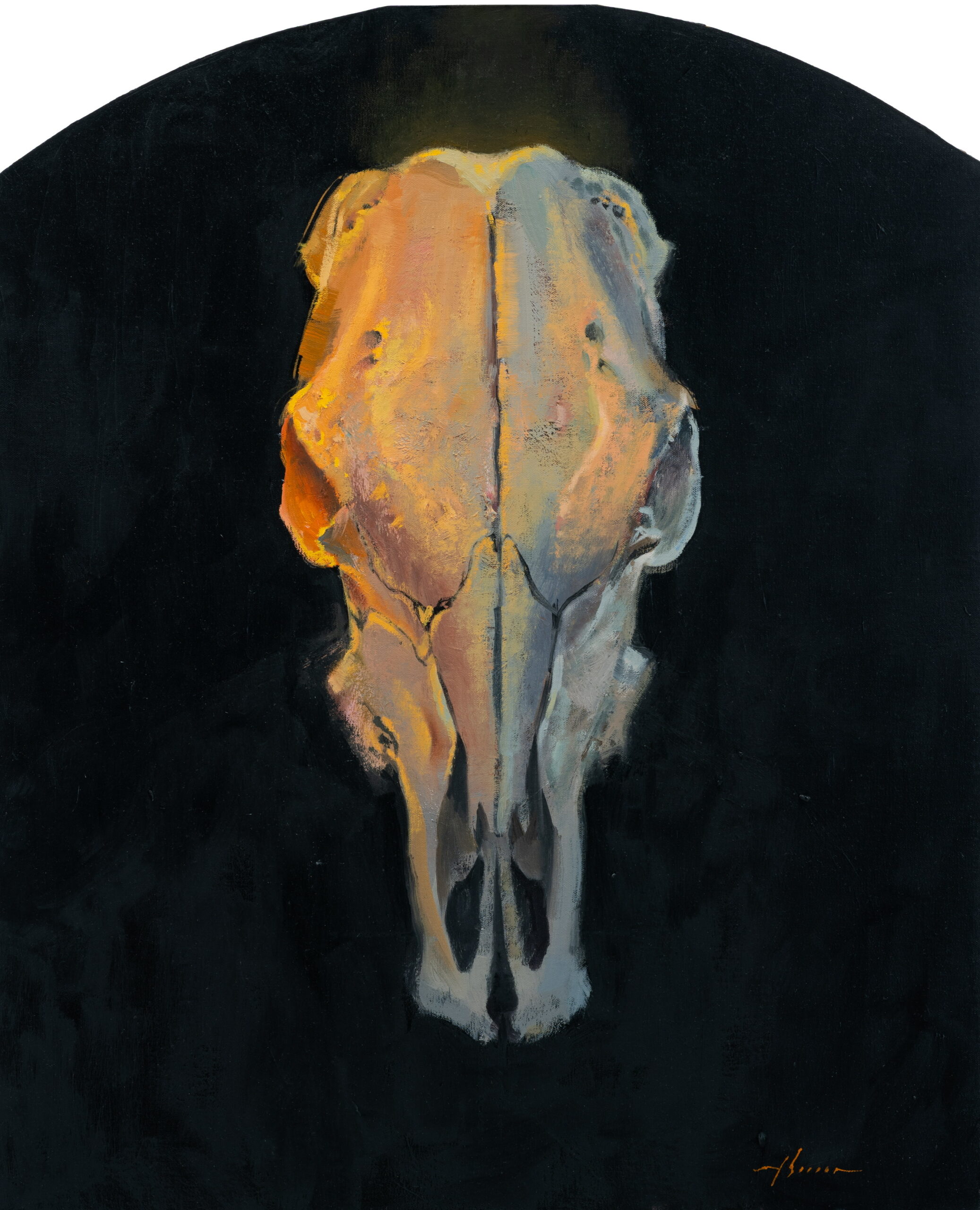 image of an elk skull still life painting by Jason Sacran