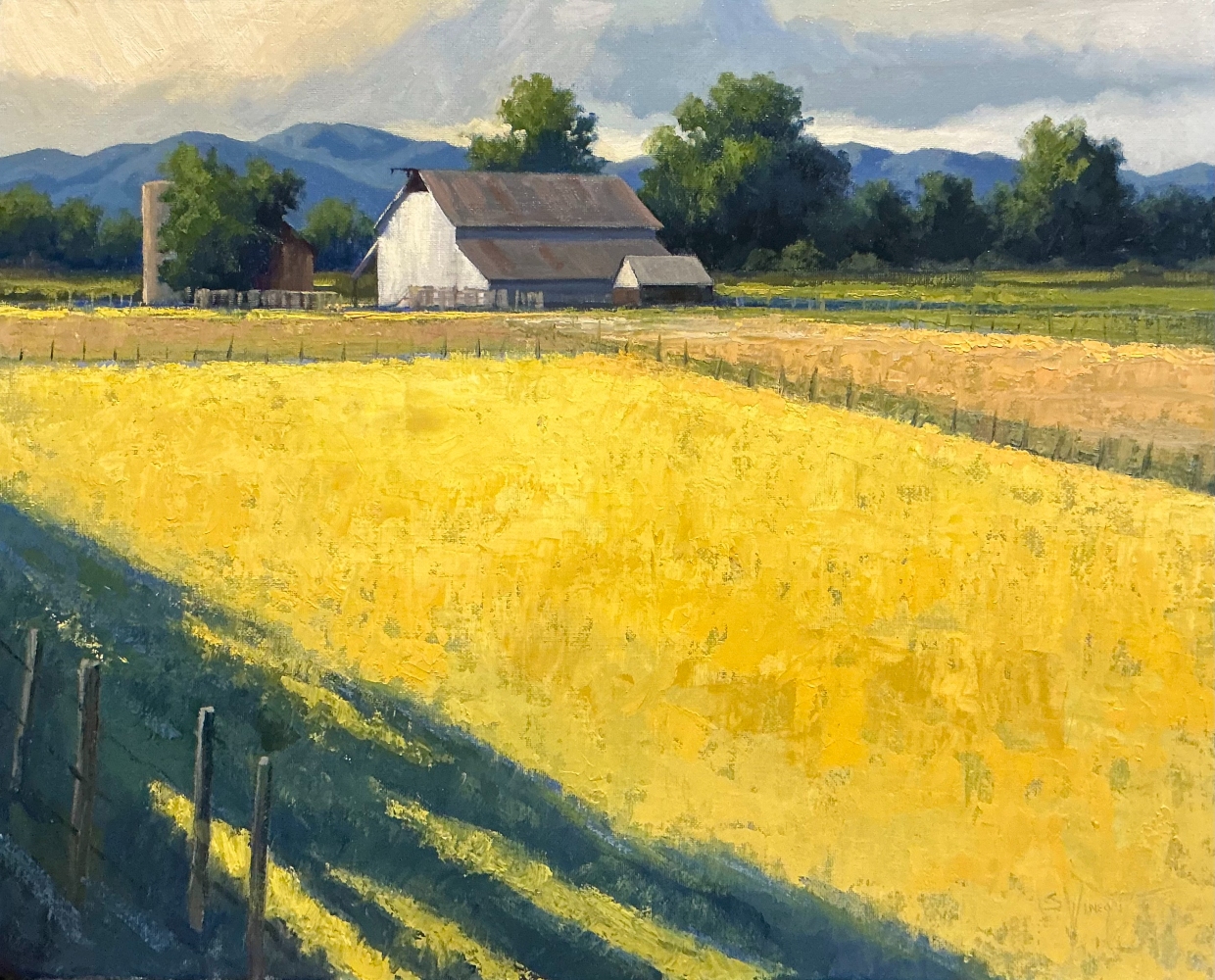 An impressionistic landscape painting titled 'Shadow Cast' by Simon Winegar. In the foreground, a rustic wooden fence line casts long, dramatic diagonal shadows across a brilliant, thickly textured yellow field. The midground features a classic white barn with a weathered gabled roof, a small silo, and lush green trees, set against a background of rolling blue mountains under an overcast sky.