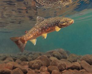 figural painting by Jim Bortz of a fish inderwater